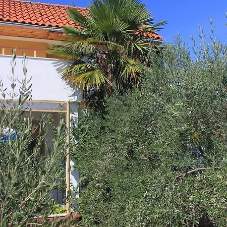 Mavarstica 8439a דירה *